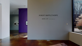 Robert Mapplethorpe: More Life (Seoul)